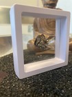Meteorit Sternschnuppe mit Schwebe Bilderrahmen Fund Ort des Meteorit Campo del