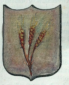 1876 ARALDICA STEMMA CAMPOMAGGIORE POTENZA - Picture 1 of 1