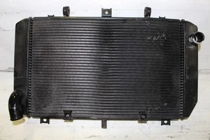 Heizkörper Wasser Kawasaki z 1000 Water Radiator Wasserkühler 390600034 - Bild 1 von 2