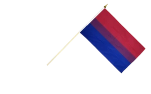Bi Pride Stockflagge Flaggen Fahnen Stockfahne 30x45cm - Bild 1 von 1