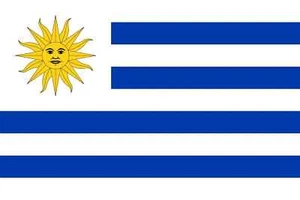 Uruguay Flag Stickers Womaha 6cm X 6cm 30 sheets Men Women Kids 001GX N - Picture 1 of 1