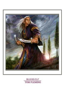 SIGNIERTER WORLD OF WARCRAFT DRUCK - BLOOD ELF - TOM FLEMING - Bild 1 von 1