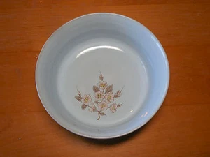 Tazones de cereal de sopa Denby Inglaterra NORMANDÍA 6 1/8" 8 disponibles - Imagen 1 de 4
