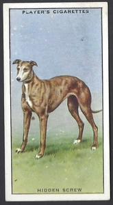 PLAYER - FAMOUS IRISH GREYHOUNDS - #20 HIDDEN SCREW - Picture 1 of 2