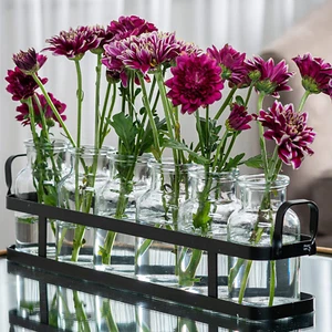6Pc Glass Flower Vase with Metal Holder, Best Vases for Flowers, for Home Decor, - Picture 1 of 9