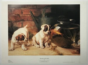 Maravillas de las profundidades, de Edmund Caldwell (1852-1930) impresión de reproducción - Imagen 1 de 2