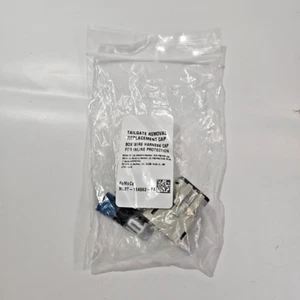 NEW OEM Original Ford Tailgate Removal Replacement Cap Fomoco # ML3T-15A562-BA - Picture 1 of 3