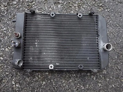 Piezas radiador Kawasaki Vulcan 1500 2001 Parting Out Foto 1 de 2