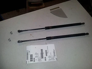 2004 Ford Expedition Tail Gate Hardware Shocks 2pc with Clips OEM  - Picture 1 of 10