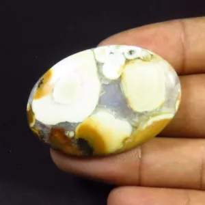 Naturgelber Kobra Edelstein 42x29 mm glatt oval Jaspis Cabochon 59 Cts CB-49 - Bild 1 von 13