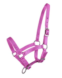 QHP Nylonhalfter Fohlen-Halfter 3fach verstellbar stark diverse Farben + Größen - Bild 1 von 6