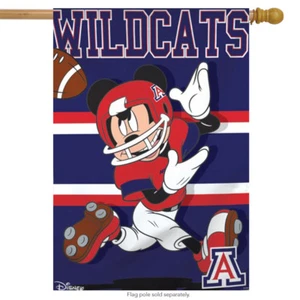 University of Arizona Wildcats NCAA Mickey Mouse House Flag Licensed 28" x 40" - Picture 1 of 3