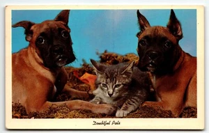 Two Bower Dogs Grey Kitten Doubtful Pals Postcard Iowa State Fair Des Moines UNP - Picture 1 of 2