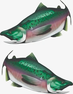 Juego de calcomanías gráficas calcomanías adhesivas para pesca de peces salmón automático barco coche camión remolque - Imagen 1 de 1
