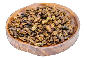 Anhaltiner Seidenraupenpuppen 2,5kg Wildvogel Igel Protein Insekten getrocknet - Bild 1 von 3