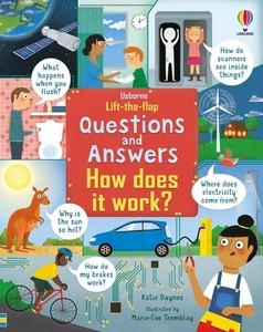 Lift-the-Flap Questions & Answers How Does it Work? by Katie Daynes Board Book B - Picture 1 of 1