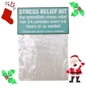 Secret Santa Weihnachten Witz Neuheit lustiges Geschenk STRESSABBAU Weihnachten Humor Geschenk - Bild 1 von 2
