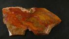 Vaquilla Agate, Mexico, 7.2 oz, 212 gr, red/gold plume veining, A grade