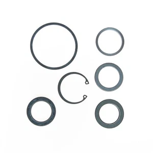 CarQuest 8769 Steering Gear Pittman Shaft Seal Kit - Picture 1 of 2