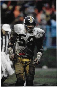 JACK LAMBERT PITTSBURGH STEELERS H.O.FER 1982 TEMPORADA ABAJO N COLOR SUCIO 8X10 - Imagen 1 de 1