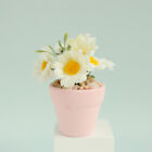 1:6 Dollhouse Miniature Daisy Potted Plant Flower Pot Bonsai Garden Home Deco DR