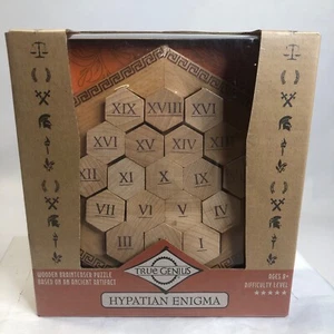 True Genius Hypatian Enigma Wooden Brainteaser Puzzle Ancient Artifact NEW - Picture 1 of 8