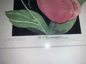 WILDFLOWERS OF SE UNITED STATES LADY SLIPPER BY CAROL TROTMAN signed and numberd - Picture 1 of 9