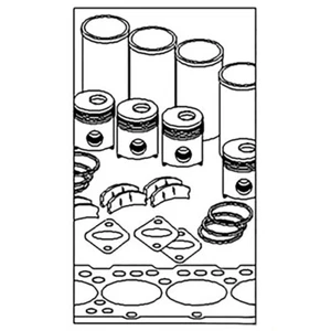 STD In Frame Engine Overhaul Kit Fits 800 900 A-IK143 A-IK143-A ENP30-0140 IK143 - Picture 1 of 5