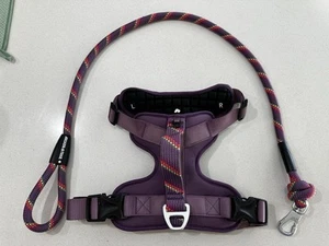 Arcadia Trail Neoprene Dog Harness And Leash Set For Large Dogs. - Picture 1 of 4