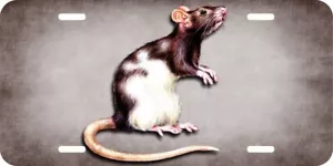 Rat Pet Rats Animal Pets Aluminum Car Vanity Plate Tag LP737 - Bild 1 von 2