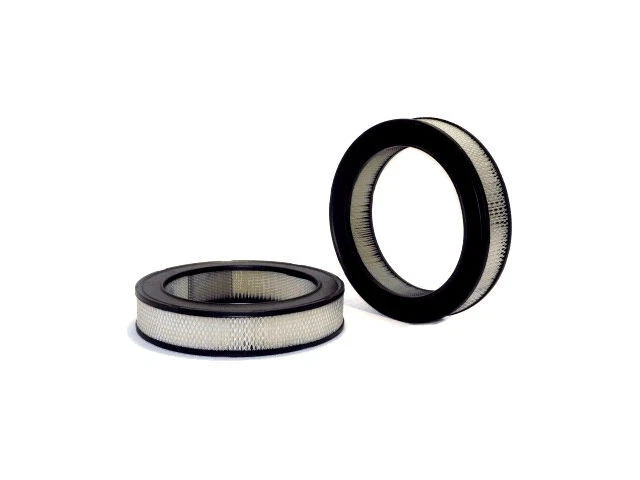 Filtro de aire WIX para Dodge Dakota 1988-1990 89QHGC Foto 1 de 1