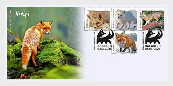 Rumania 2025 animales salvajes zorro zorro Fennec zorro ártico zorro gris Urocyon 1ENV4 FDC Foto 1 de 1