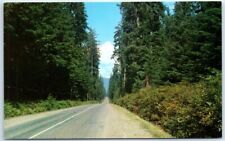 Postcard - Western Washington Highway