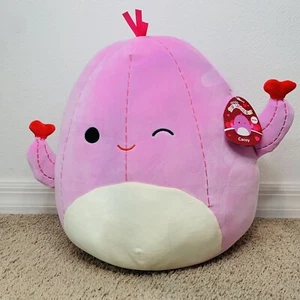 Squishmallows 14" Cacey  The Cactus- NWT - Valentine's 2023 CVS Exclusive - Picture 1 of 4