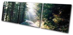 Landscapes Forest Road TREBLE CANVAS WALL ART Picture Print VA - Picture 1 of 1