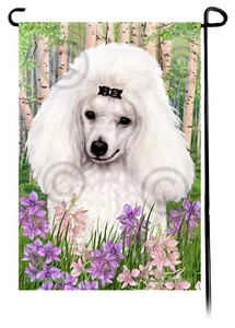 Bandera de jardín con flores de primavera - Caniche miniatura blanco - Imagen 1 de 1