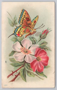 Postal de mariposa con rosas silvestres rosas c1915 - Imagen 1 de 2