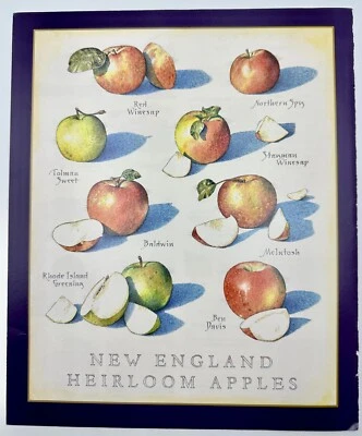 Cooks Illustrated Contraportada Solo Arte John Burgoyne: Manzanas de reliquia de Nueva Inglaterra Foto 1 de 4