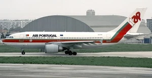 Airbus A310 TAP Air Portugal Desktop Wood Airplane New Model Small Scale 1/130 - Picture 1 of 10