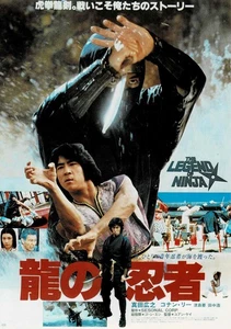 Ninja in der Drachenhöhle Japanisch Original Mini Filmposter Chirashi Flyer B5 - Bild 1 von 2