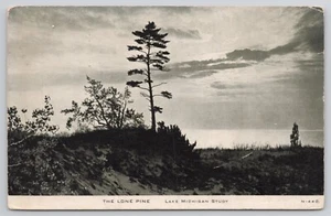 Postcard 1945 Indiana Lake Michigan The Lone Pine - Picture 1 of 3