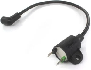 COIL FOR ET950 ET650 Harbor Freight Chicago Electric Storm CAT 63cc 800 900 CO19 - Picture 1 of 6