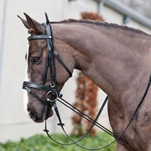 stretcher fo neck Horse Training Grooming Tool Equestrian - Picture 1 of 7