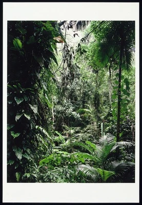 Fotokunst/Düsseldorfer Schule. Inkjet Print Thomas STRUTH (*1954 D) handsigniert - Bild 1 von 3