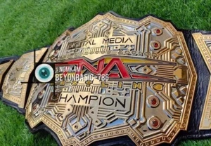New TNA custom Heavyweight Championship Wrestling Title Replica Belt - Picture 1 of 11