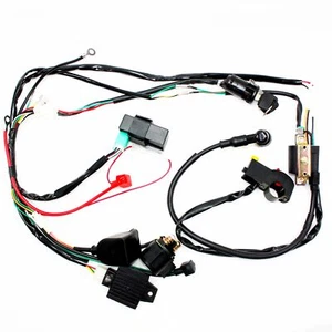 Arnés de cableado completo del motor de arranque eléctrico telar 110 125cc cuádruple bicicleta todo terreno buggy - Imagen 1 de 12