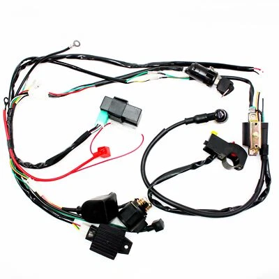Complete Electric Start Engine Wiring Harness Loom 110 125cc Quad Bike ATV Buggy - Image 1 of 4