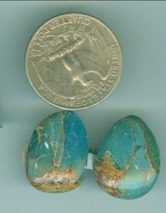 20 Carat Matched Set of Stabilized Aqua Terra Cabs Ear ring cabs Unbacked Pair - Picture 1 of 1