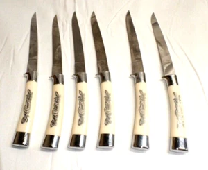 Juego de 6 cuchillos MCM Royal Brand Cutlery Masterpiece súper inoxidables para carne - Imagen 1 de 5