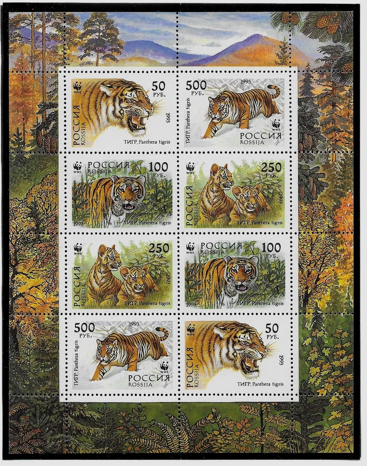 RUSSIA Sc 6181b NH issue of 1993 - WWF - ANIMALS - TIGER MINISHEET - Image 1 of 1